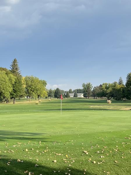The Muni Update